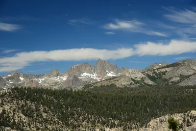 DSC_9968 (Large).JPG